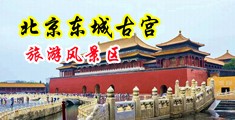 帅哥日美女骚逼中国北京-东城古宫旅游风景区